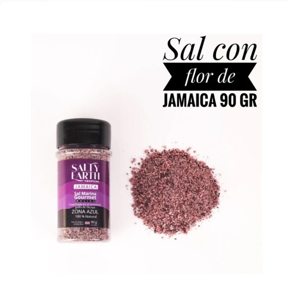 Salty Earth Sal con Flor de Jamaica 90gr Salero